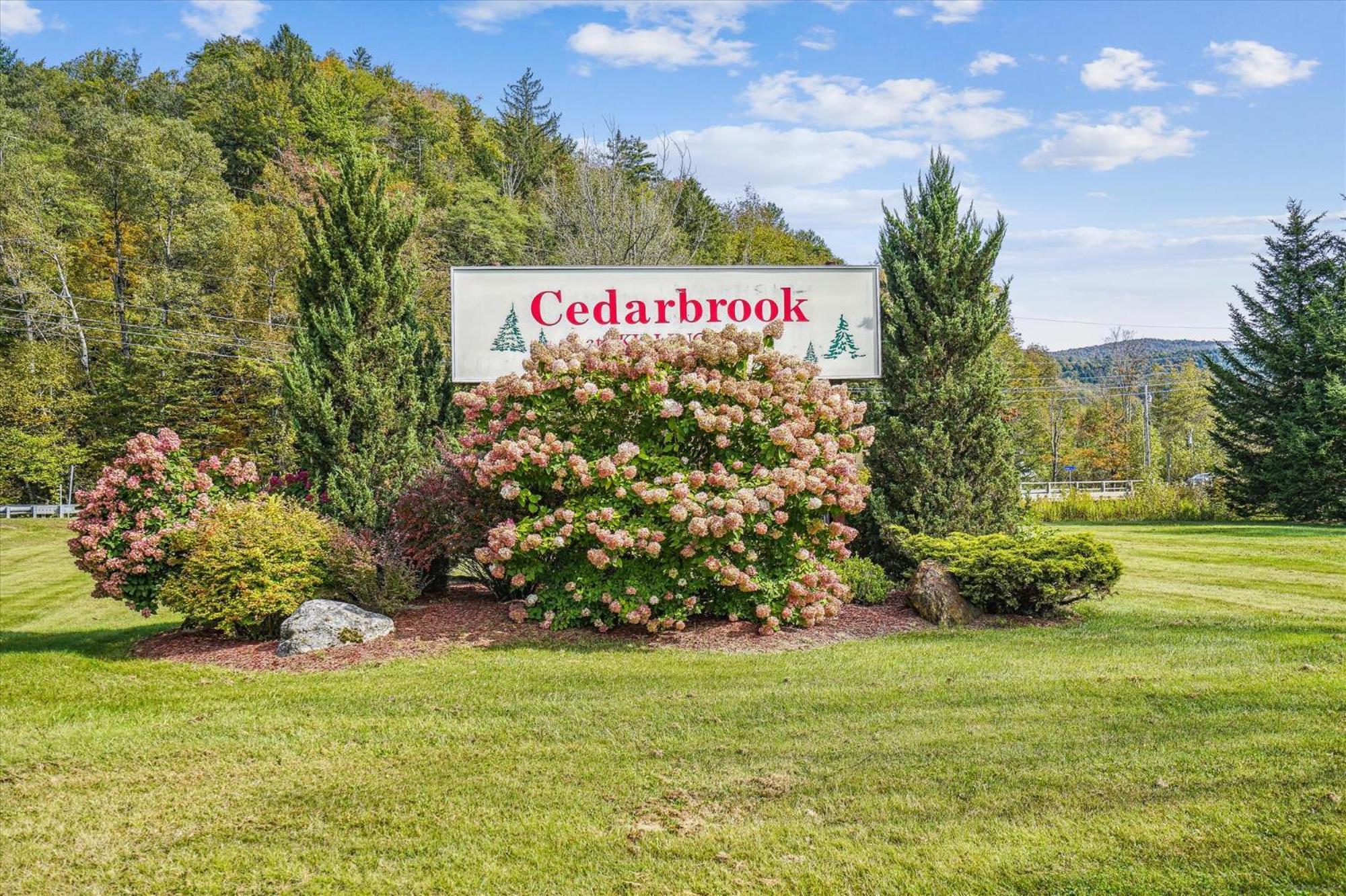 Cedarbrook Deluxe Two Bedroom Suite With Outdoor Heated Pool 10708 Killington Exterior photo